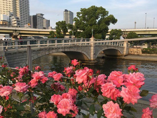 Nakanoshima Parkı